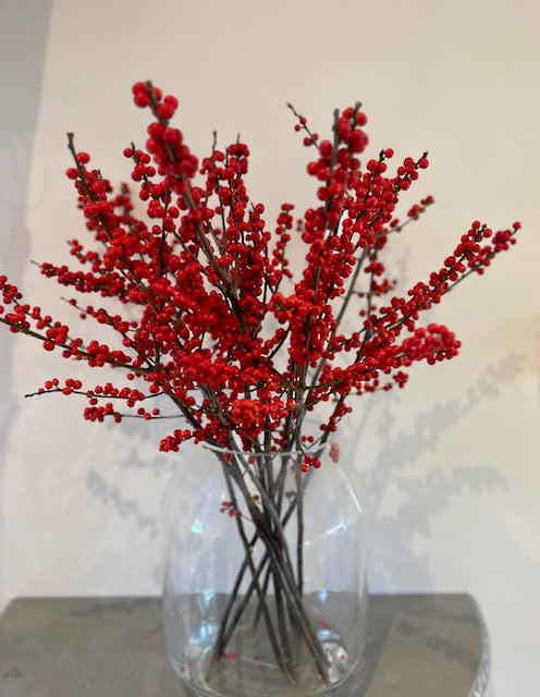 Stunning Red Ilex Berries  -