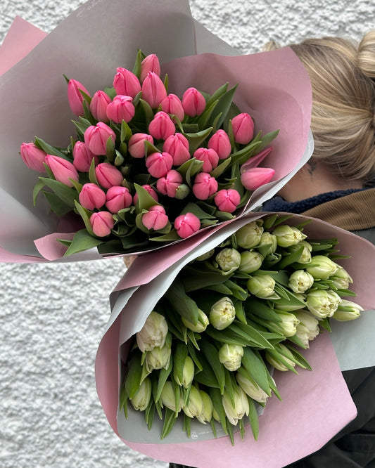 Pink and White Tulip bunches wrapped in pink paper