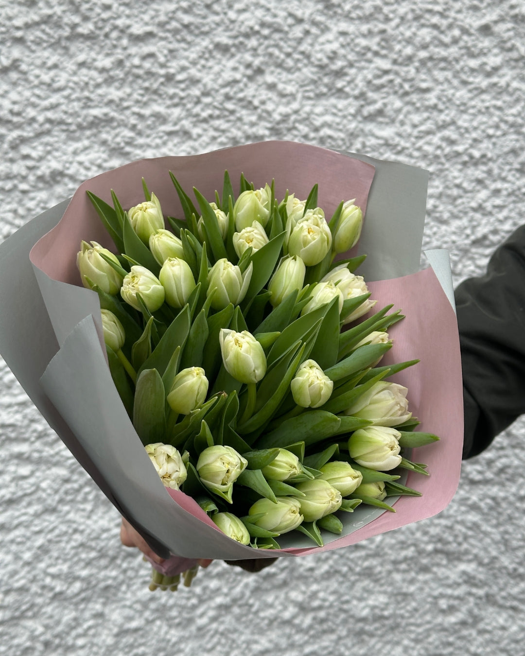 Bunch of White tulips wrapped in Pink paper