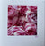 Blank Gift Card-Pretty pink garden Rose