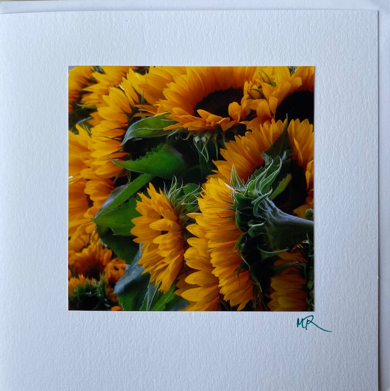Gift Card - Sunny Sunflowers
